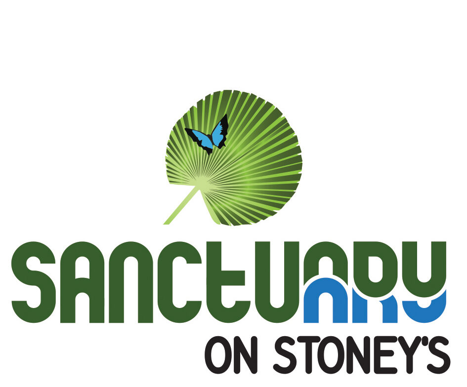 Sanctuary on Stoneys